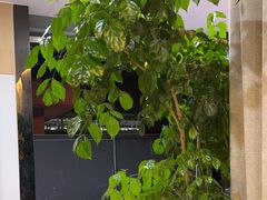 -麦悠悠·SPA·推拿(沈杜公路地铁站店)