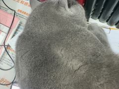 -全心全意连锁动物医院·微创中心·内科急重症·心脏专科(丰管路店)