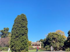 -墨尔本皇家植物园