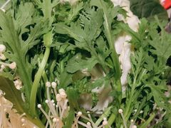 -蝎王府羊蝎子(西直门店)