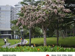 -深圳人才公园