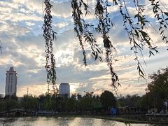 -翠湖公园