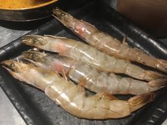 -小牛哈尼章鱼水煎肉(金鹰店)
