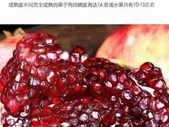 -食悦江南·淮扬菜·烤鸭(亚运村·惠新店)