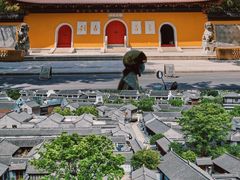 -溱湖国家湿地公园