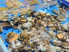 -海味当家·蒸锅海鲜(星海公园店)