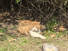 -华东政法大学(松江校区)