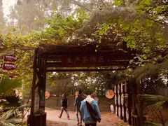 -北海金海湾红树林生态旅游区