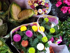 -循礼门鲜花花市(武汉循礼门店)