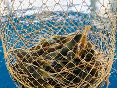 -SHRIMP CLUB万东餐饮钓虾·清吧