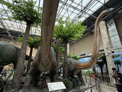 -国家自然博物馆