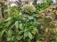 -石家庄市植物园
