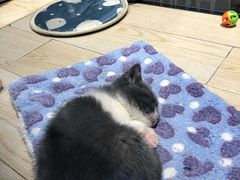 -圆融星座购物中心