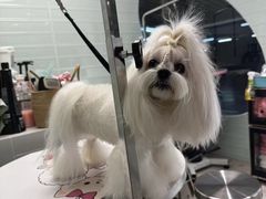 -FAELING PETS美天灵宠物(合生汇店)