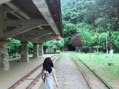 -遂昌金矿国家矿山公园