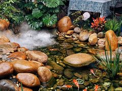 -菌林天下·野生菌汤锅