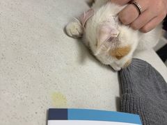 -美联众合24小时·皮肤科·外科·全科诊疗中心(华苑分院)