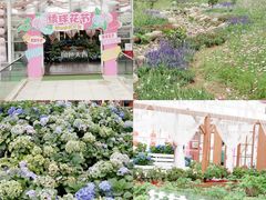 -盈香心动乐园