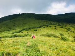 -秦岭风景区