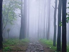 -莫干山风景区