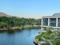 -厦门国家会计学院