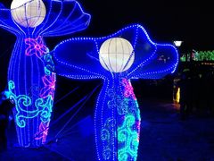 -长春公园(普阳街道)