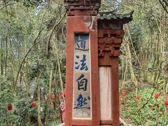 -成都老君山