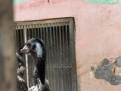 -鄂尔多斯野生动物园