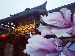 -星巴克臻选(成都宽窄巷子店)