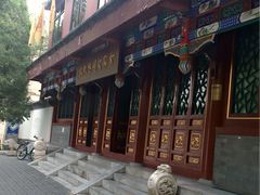 -古陶文明博物馆
