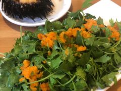 -海胆小馆(东北水饺·春柳店)