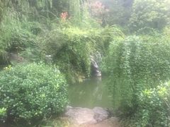 -杭州西湖风景名胜区-三生石
