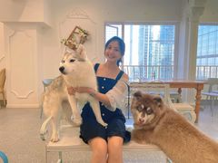 -Let's go狗咖·猫咖·奶狗·桌游(春熙路IFS店)