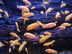 -多彩贵州城极地海洋世界