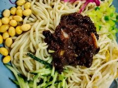 -老北京正宗炸酱面(渤海明珠店)