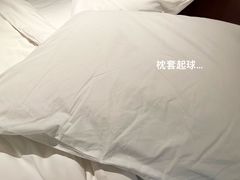 -上海龙之梦万丽酒店