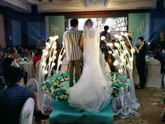 -圣爵菲斯大酒店(长沙世界之窗店)