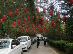 -观澜山水田园