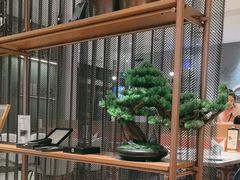 -必胜客(华邦银泰店)