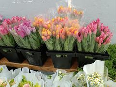 -循礼门鲜花花市(武汉循礼门店)