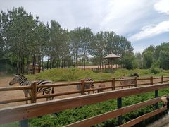 -大连森林动物园