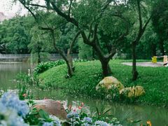 -人民公园(罗湖区)