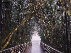 -上海吴淞炮台湾国家湿地公园