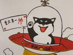 -柴迷FANS CLUB·柴犬狗咖·猫咖
