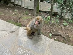 -黔灵山公园