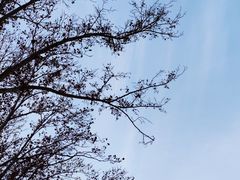 -一大糕点(纬六路店)