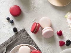 -上海乐高探索中心