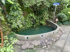 -十八棵（老龙井）御茶园(老龙井店)