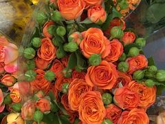 -循礼门鲜花花市(武汉循礼门店)