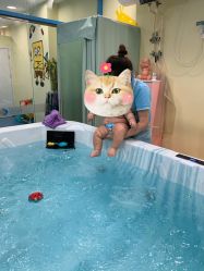 -蓝色海林婴幼儿水育馆(新辰里学清路店)
